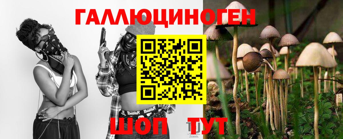 Псилоцибиновые грибы GOLDEN TEACHER  Галлюциногенные грибы GOLDEN TEACHER  дарнет шоп  Амурск  Вход с VPN 